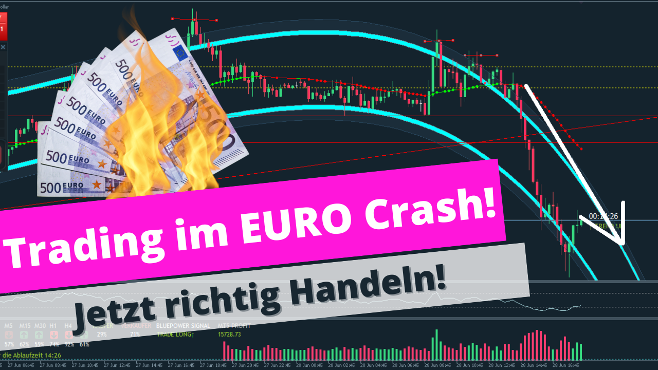 Den Euro Crash richtig handeln